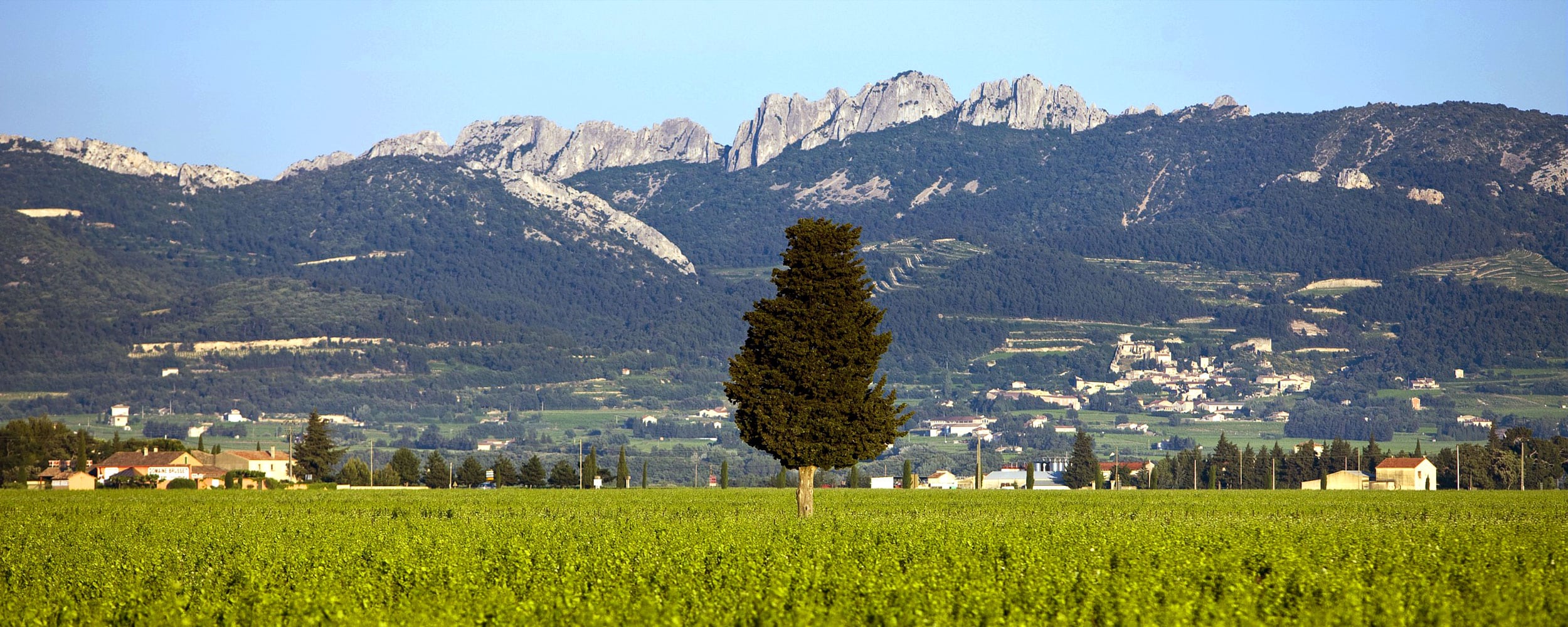 Private tours with Provence Wine Tours