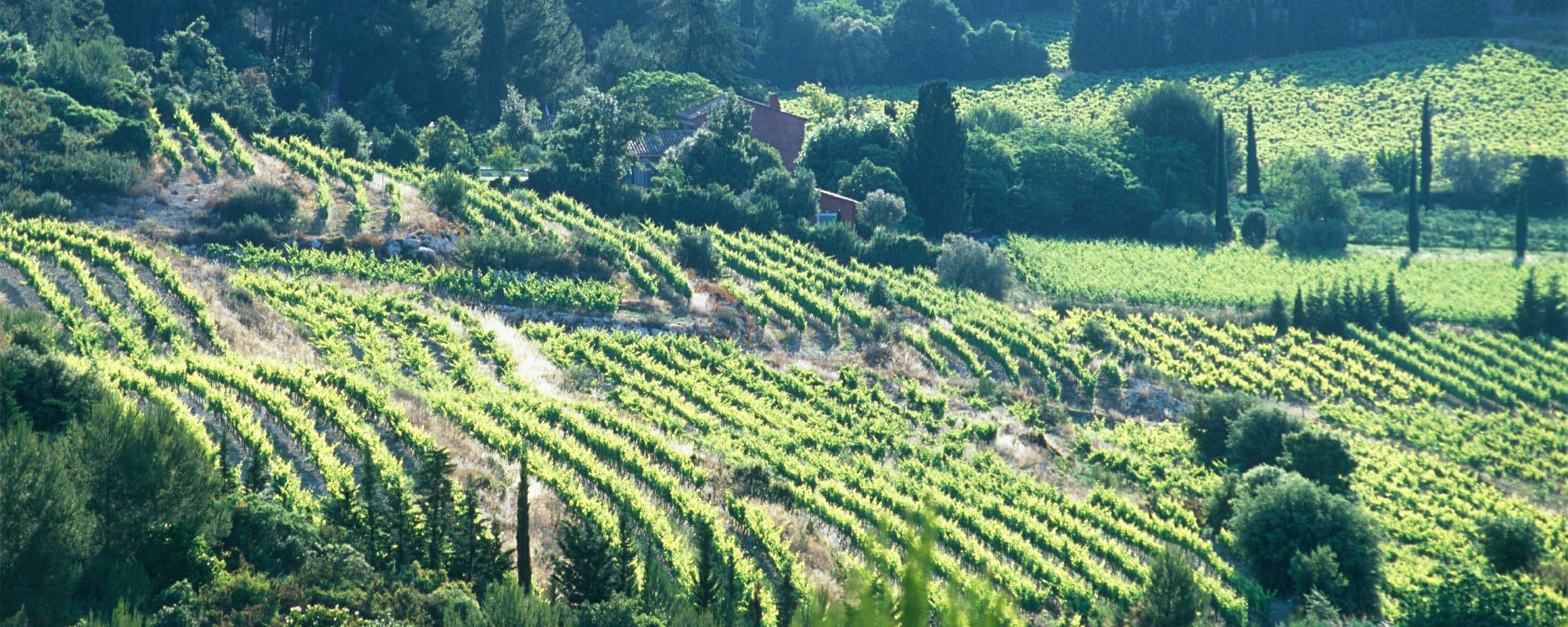 Private tours with Provence Wine Tours